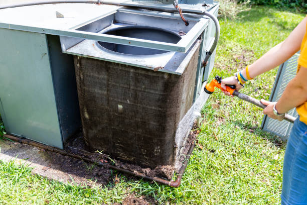 Best Air Duct Mold Removal  in Coalfield, TN
