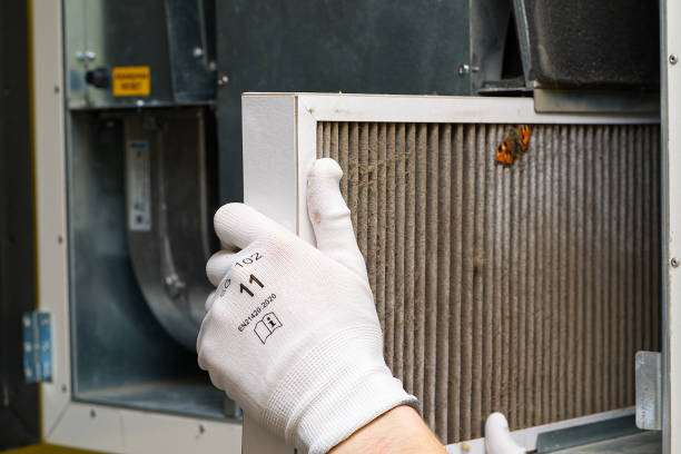 Best Ductwork Cleaning Services  in Coalfield, TN