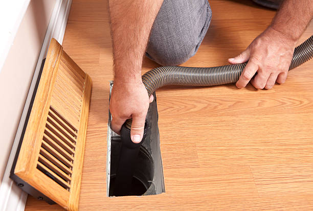 Best Home Air Vent Cleaning  in Coalfield, TN