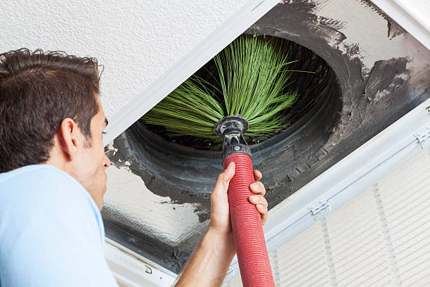 Best Commercial Air Duct Cleaning  in Coalfield, TN